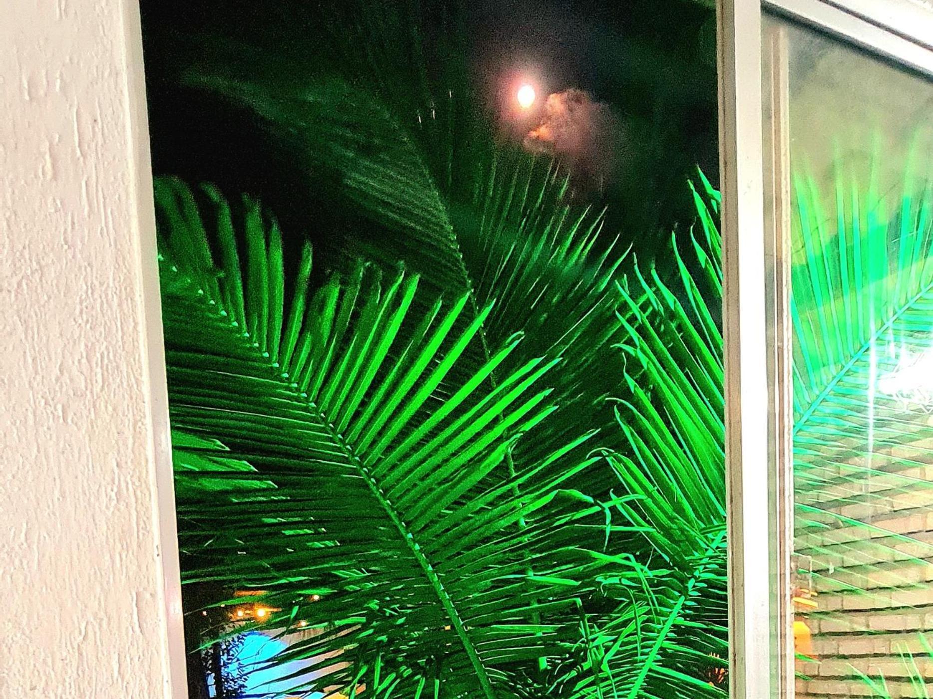 Di Pipa Rooms - Hidromassagem Externa Praia de Pipa Экстерьер фото
